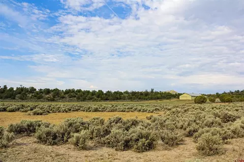 320 County Road 329, Ignacio, CO 81137 photo 29