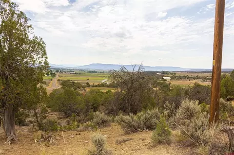 320 County Road 329, Ignacio, CO 81137 photo 38
