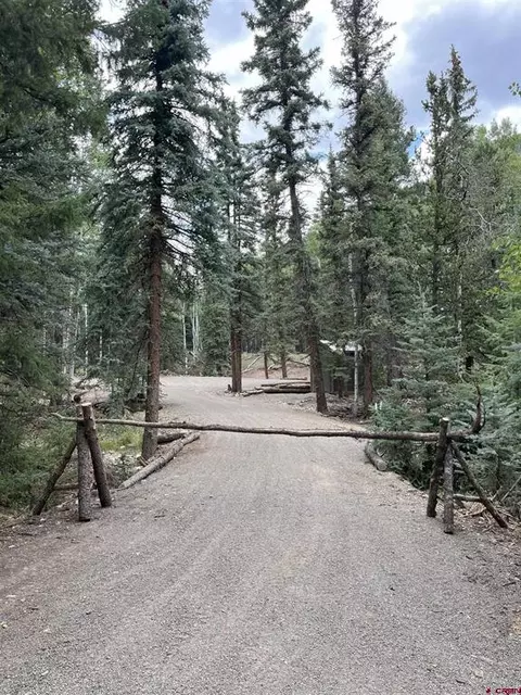 141 Alamosa Ave, Jasper, CO 81144