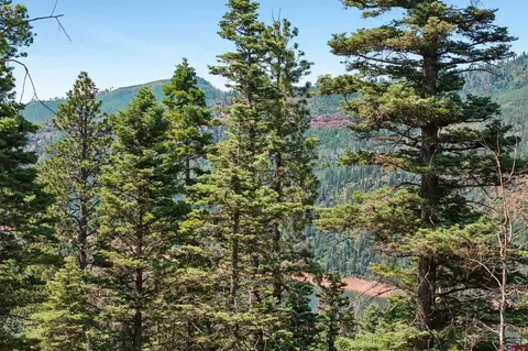 126 Sierra Verde Ln, Durango, CO 81301 photo 5