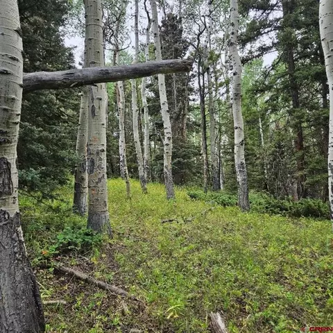 390 Rim Rd, Cimarron, CO 81220 photo 7
