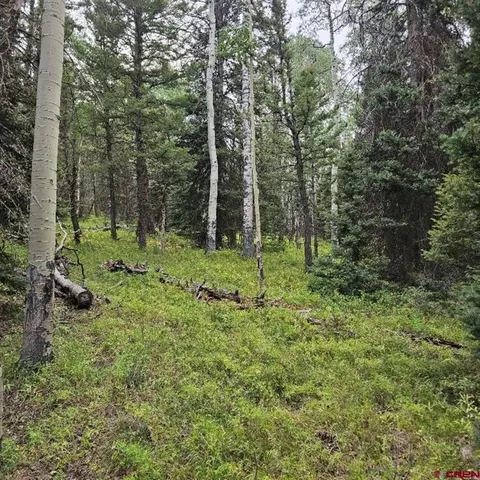 390 Rim Rd, Cimarron, CO 81220 photo 2