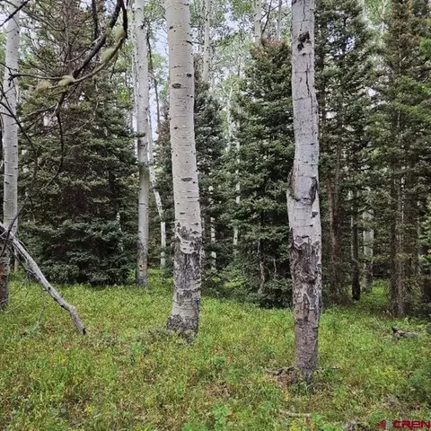 390 Rim Rd, Cimarron, CO 81220 photo 10