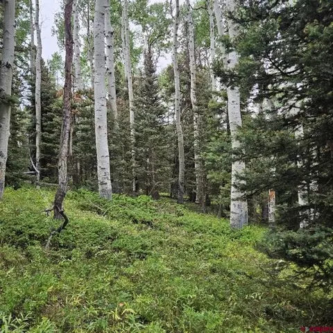 390 Rim Rd, Cimarron, CO 81220 photo 4