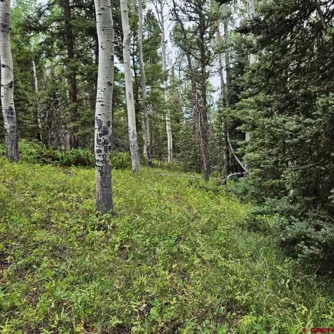 390 Rim Rd, Cimarron, CO 81220 photo 6