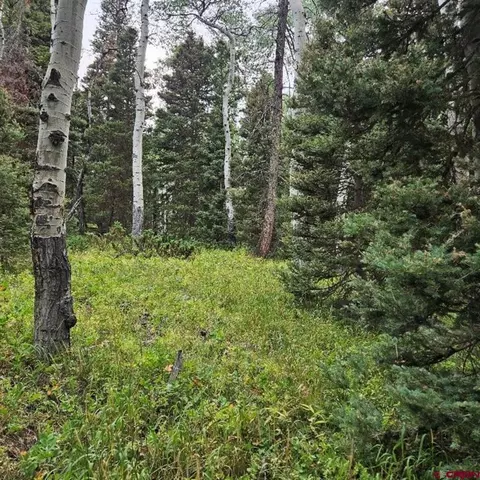 390 Rim Rd, Cimarron, CO 81220 photo 8