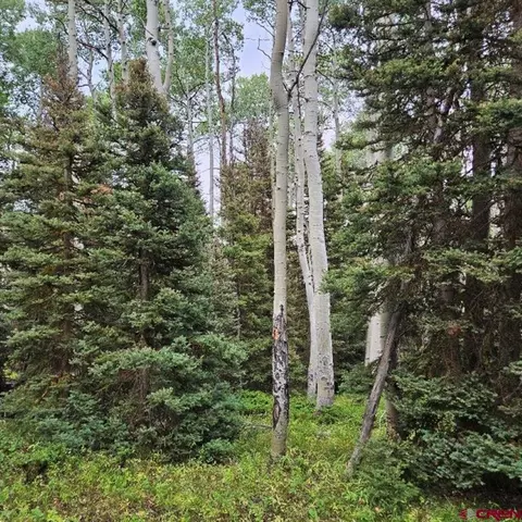390 Rim Rd, Cimarron, CO 81220 photo 13