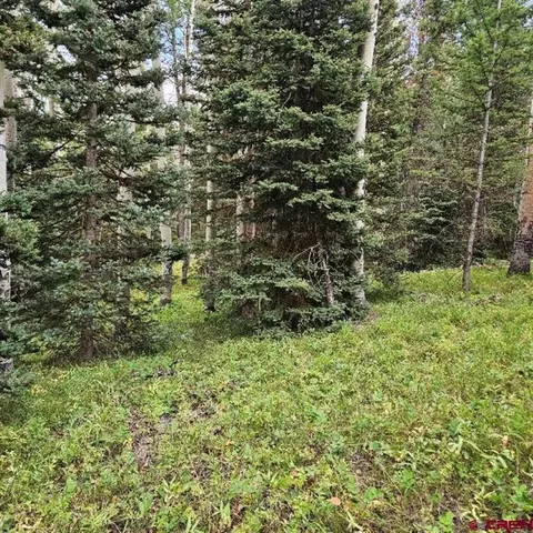 390 Rim Rd, Cimarron, CO 81220 photo 11