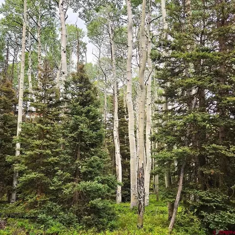 390 Rim Rd, Cimarron, CO 81220