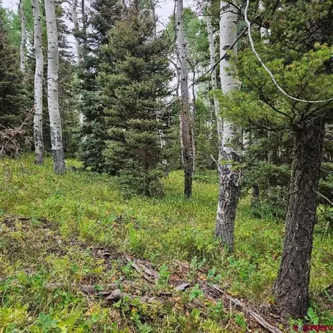 390 Rim Rd, Cimarron, CO 81220 photo 9