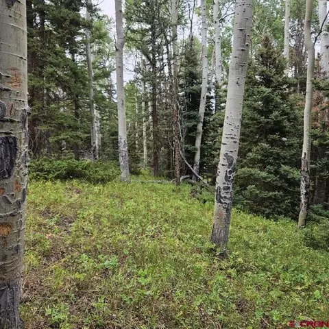 390 Rim Rd, Cimarron, CO 81220 photo 12