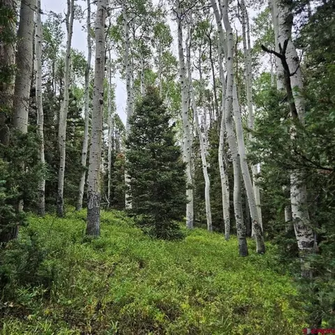390 Rim Rd, Cimarron, CO 81220 photo 3