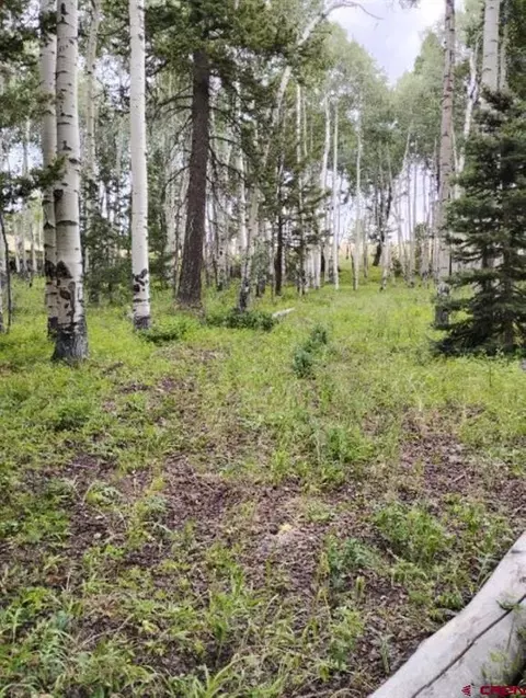 770 Ponderosa Way, Cimarron, CO 81220