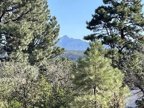 259 Blue Jay Cir, Pagosa Springs, CO 81147