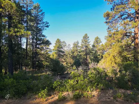 326 Justins Rd, Pagosa Springs, CO 81147