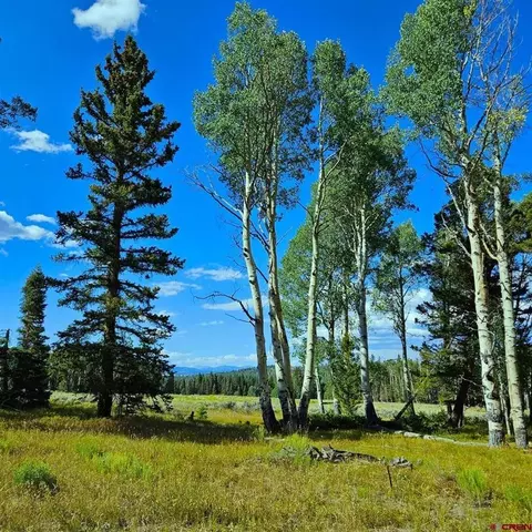 284 Aspen Trl, Cimarron, CO 81220