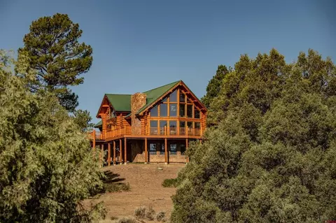 251 Golden Spruce Ct, Pagosa Springs, CO 81147