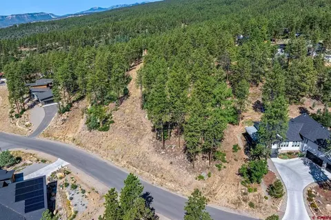 119 Cabin Creek Dr, Durango, CO 81301 photo 4