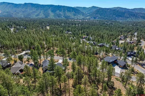 119 Cabin Creek Dr, Durango, CO 81301 photo 9