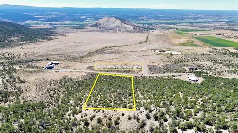 tbd Lot 21 7250 Rd, Montrose, CO 81403