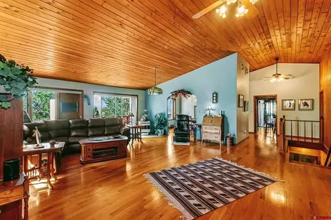 Other - 16113 Bull Mesa Rd, Cedaredge, CO 81413 photo 5 of 12