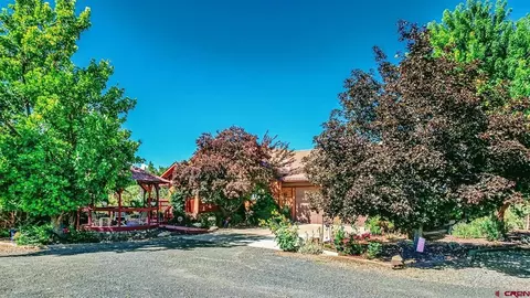 16113 Bull Mesa Rd, Cedaredge, CO 81413