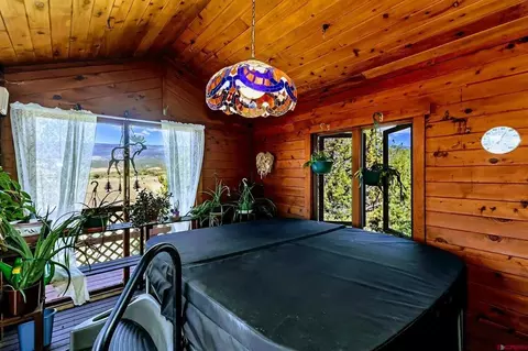 Exterior - 16113 Bull Mesa Rd, Cedaredge, CO 81413 photo 7 of 10