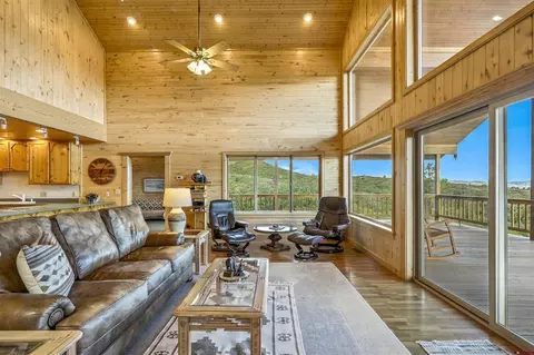 Living - 1100 Soaring Eagle Ct, Chromo, CO 81128 photo 3 of 6