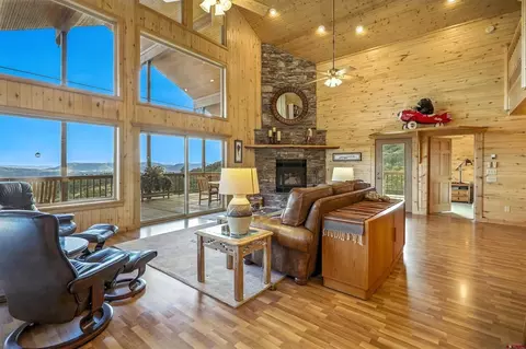 Living - 1100 Soaring Eagle Ct, Chromo, CO 81128 photo 6 of 6