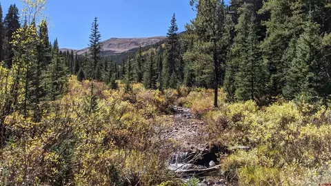 tbd Forest Service Road 7523b, Gunnison, CO 81210