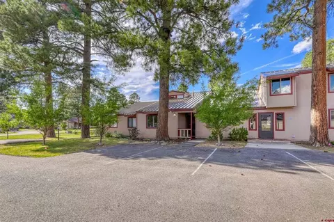 217 Pinon Cswy #3002, Pagosa Springs, CO 81147