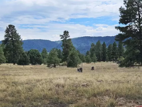 44 Shelter Pl, Pagosa Springs, CO 81147
