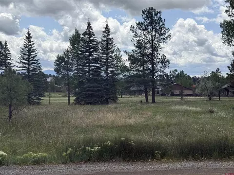 201 Pines Club Pl, Pagosa Springs, CO 81147