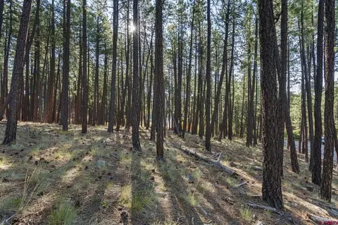 465 Deer Ridge Dr, Bayfield, CO 81122