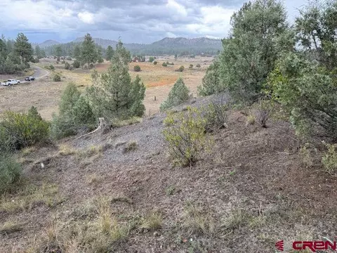 X Catchpole Drive, Pagosa Springs, CO 81147