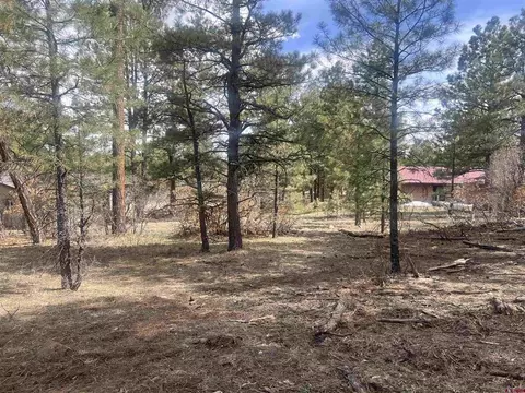 822 Hills Cir, Pagosa Springs, CO 81147