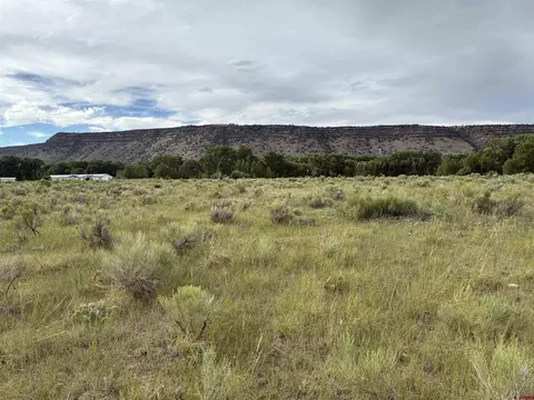 tbd County Road D5, Antonito, CO 81120