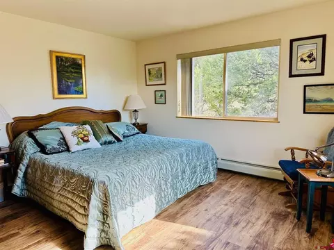 162 Cedar Ridge Rd, Mosca, CO 81146 photo 11