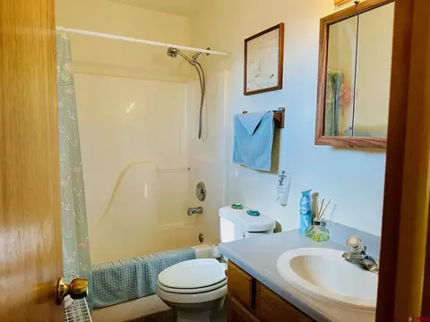 162 Cedar Ridge Rd, Mosca, CO 81146 photo 12