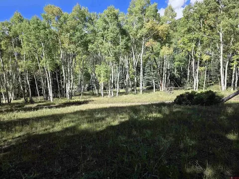 lot9 Forest Service Road 250, Jasper, CO 81144