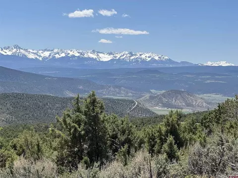 71519 Winchester Trl, Montrose, CO 81403