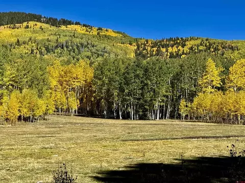 49404 Fs 567, Mancos, CO 81328