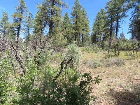 16 Crooked Rd, Pagosa Springs, CO 81147