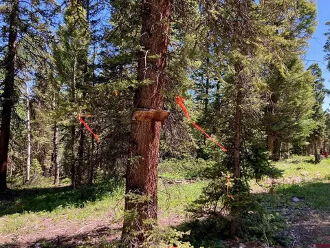 147 Ridge Rd, Cimarron, CO 81220
