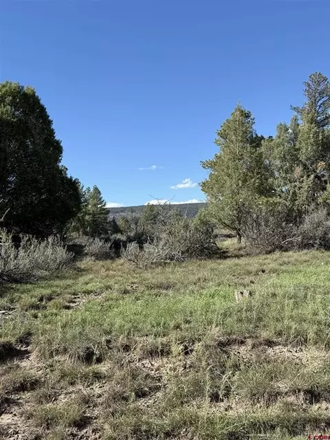 132 Hurt Ln, Pagosa Springs, CO 81147