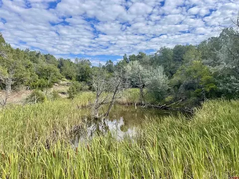 lot2 Road S2, Dolores, CO 81323