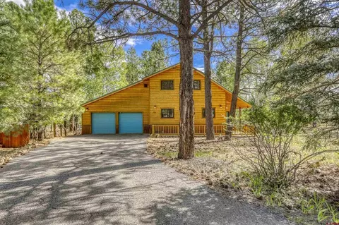 33 E Nebo Ct, Pagosa Springs, CO 81147