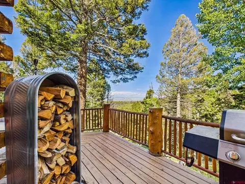 160 Crest Dr, Cimarron, CO 81220 photo 28