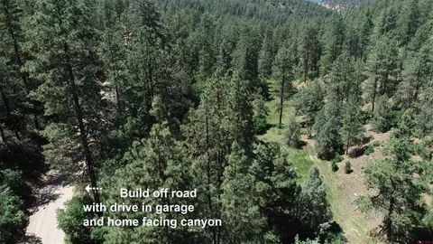 26202676 Crooked Rd, Pagosa Springs, CO 81147