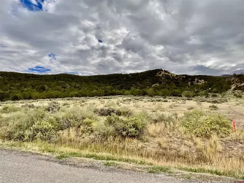 tbd Lot 22 7250 Rd, Montrose, CO 81403